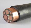 BPYJVPP2 BPVVPP3 變頻器專(zhuān)用電纜