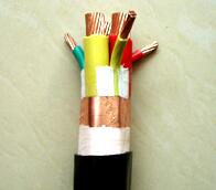 變頻器專(zhuān)用電纜